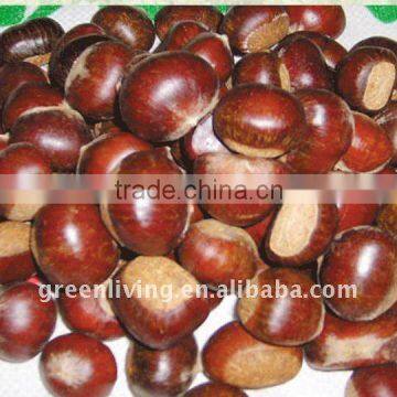 fresh half-dried chestnut in china