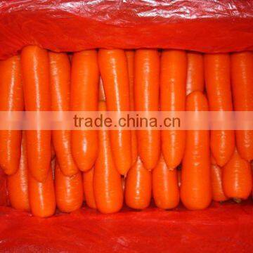 Chinese fresh carrot high quality for sale