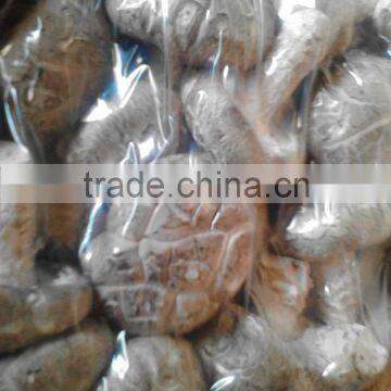 Shiitake Mushroom photo-4