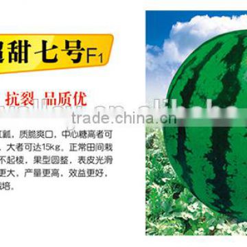 High Sweetness Chinese Hybrid F1 Sweet Watermelon Seeds For Growing-Super Sweet NO.7 F1