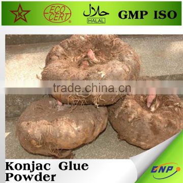 BNP supplier 100% nature Konjac Glue powder