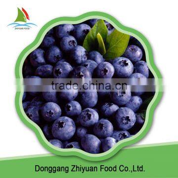 2016 New Season Frozen Blueberry Prices photo-4