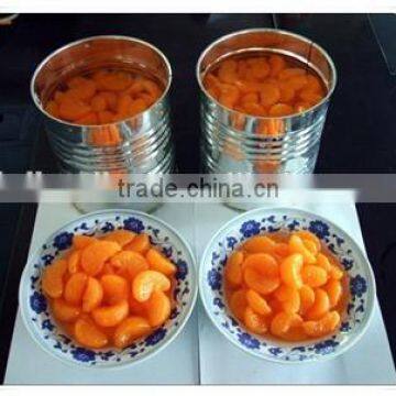 canned mandarin orange in preserved fruit