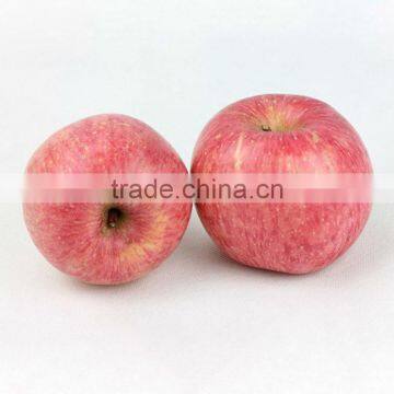 Creative plastic apple for display | Artificial fruits 3D fridge magnet | Yiwu Sanqi Crafts - Fake food manufacturer in China