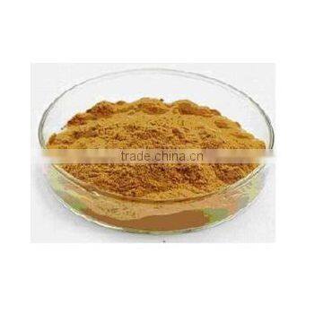 Hot Sale & High Quality Rhodiola Rosea Extract for Drugs and Nutrition Supplement of China photo-2