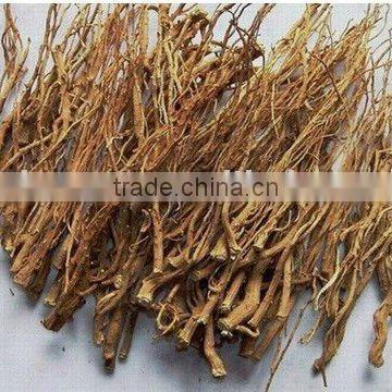 Organic Burdock root slice