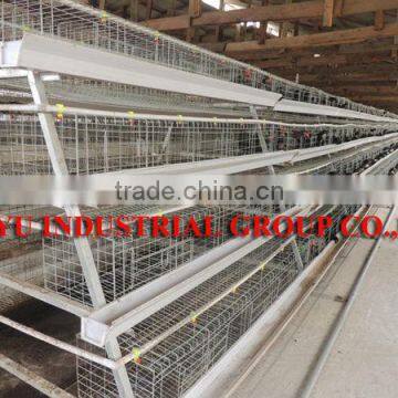 TAIYU Automatic Poultry Battery Cage for Nigerian Farm