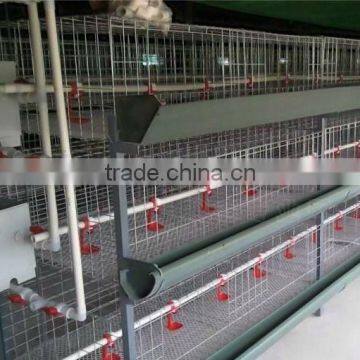 Poultry feed equipment