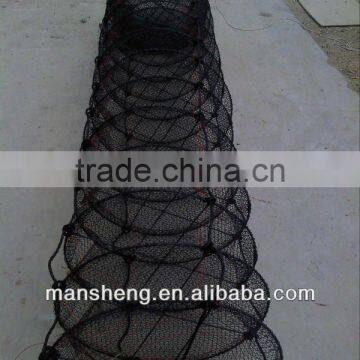 scallop aquaculture trays scallop farming nets