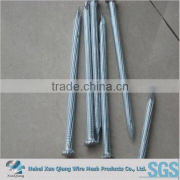 construction nails/construction common wire nails