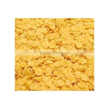 Factory in Jinan China Competitive Original Corn Flakes Machine photo-3
