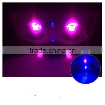 uv ir full spectrum bridelux chip led light 5w chip 300w led grow light