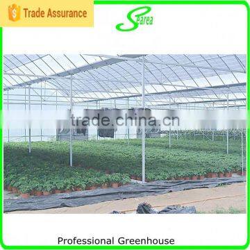Agricultural Used Greenhouse Manufacturer photo-6