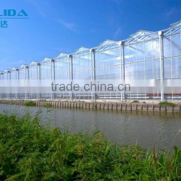 hot dip galvanized steel pipes and polycarbonate PC plastic sheet greenhouse