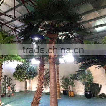 Ornamental huge fiberglass palm tree