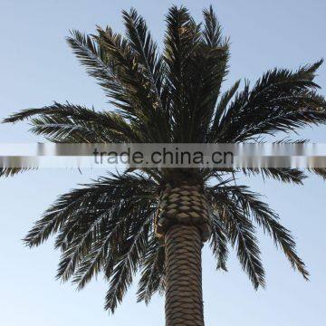 Cheap Artificial Palm Tree Date Palm for Out Door Decorative photo-3
