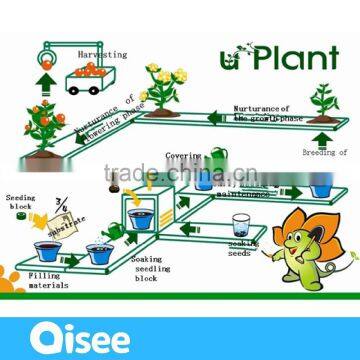 Easy Hydroponic Growing System Kits for Kids With EN71 photo-6