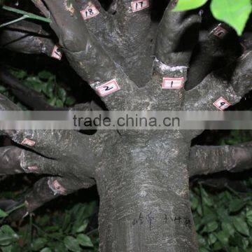 SJ11 Artificial Banyan Tree Manufacturer in Guangzhou photo-6