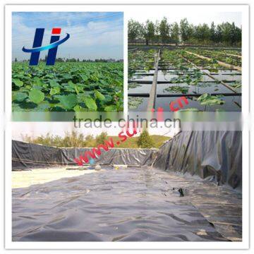 Black Smooth Surface Geomembrane for Pond Liner photo-3