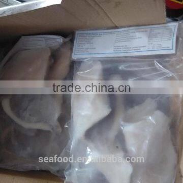 Frozen John Dory Fillet 60-100g/100-150g/pc Tuna Fish Processors photo-2