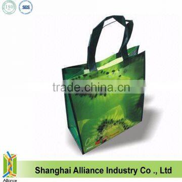 Laminated Non Woven Shopping Bag