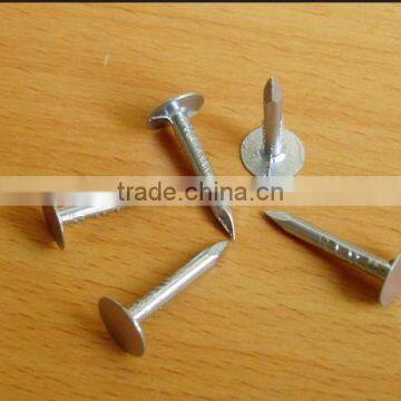 Large Flat Head Clout Nail Roofing Nail for Africa photo-4