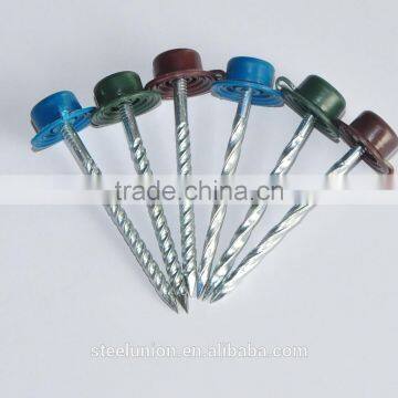 Screw Nails / Corrugated Roofing Nails With Plastic Cap photo-2