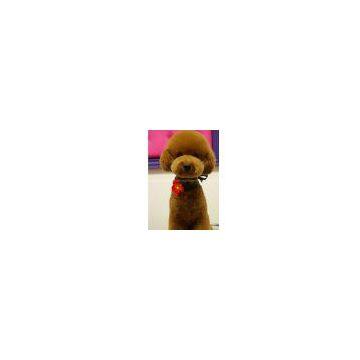 2011 Hot Sale Plush Dog Toy