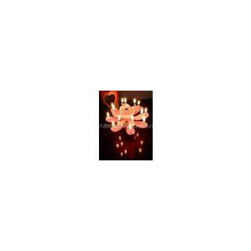 Birthday Candle photo-2