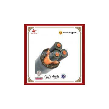 50 sq mm Copper Cable Outdoor Insulated Power Cable Medium Voltage Copper/Aluminum Cable photo-2