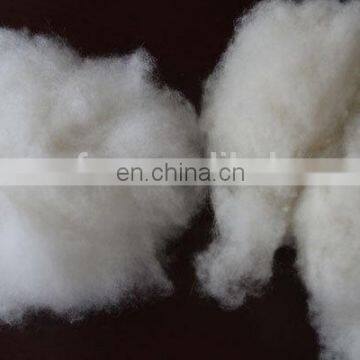 wholesale washed and dehaired Chinese Sheep Wool