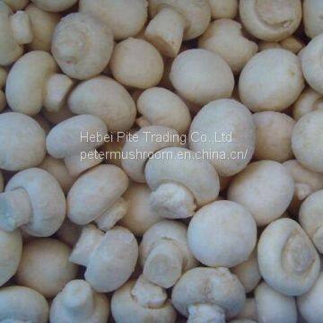 Edible Mushroom Fungus Frozen Frozen Frozen Champignon Mushroom