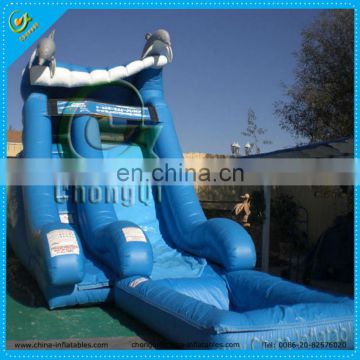 inflatable water slide with pool