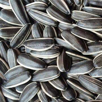 Sunflower Seeds for Export