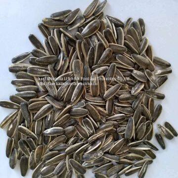 Wholesale Raw Sunflower Seeds