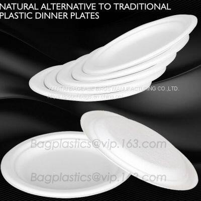 SUGARCANE,BAGASSE PLA DINNERWARE BIO ECO TABLEWARE CUP PLATE BOWL CONTAINER DISH TRAY CUTLERY PULP photo-5