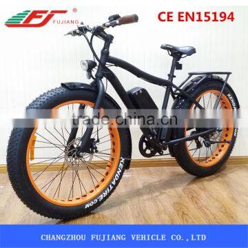 FJ-TDE07, 1000w electric bikes high quality