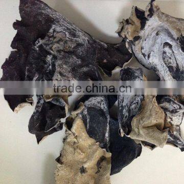 Dried Black with White Back Fungus Mushroom