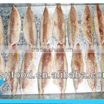 Cooked Macherel Fish photo-3