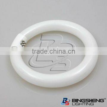 Hot T9 Circle Fluorescent Tube G10q