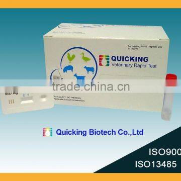 Poultry Rapid Test IBD Ag