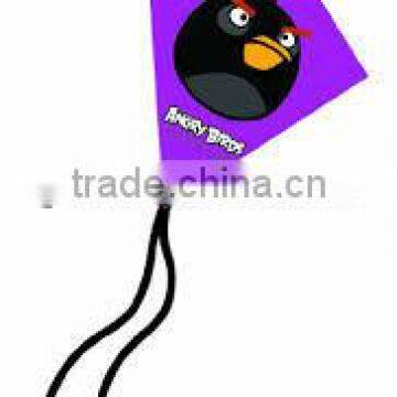 Plastic Kites