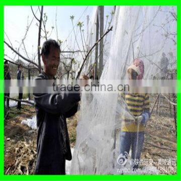 HDPE Hail Netting Anti Hail Netting Plastic Anti-hail Nets photo-4