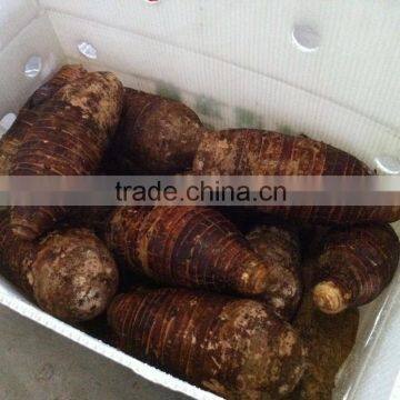 Fresh Chinese Taro for Sale photo-3