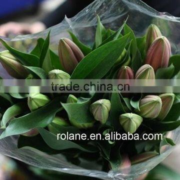 Cheap And Good China Hot Selling Fresh Cut Lilium From YUNNAN Planting Base