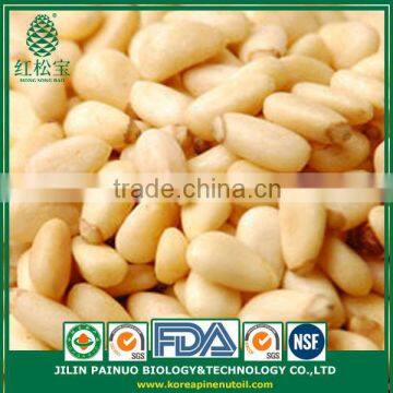 Bulk Popular Fast Food Organic Korean Pine Nut Kernels