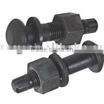 Torsion & shear type high strength bolt