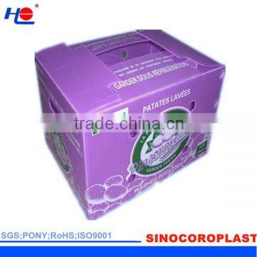 Plastic Cartonplast Box