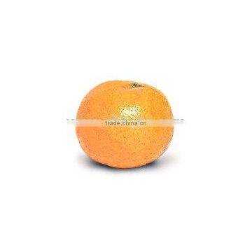 New Year 2017 Special Offer - Mandarin Oranges