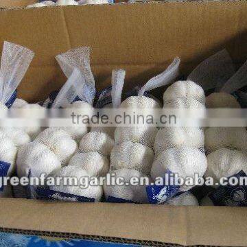 China garlic exporter